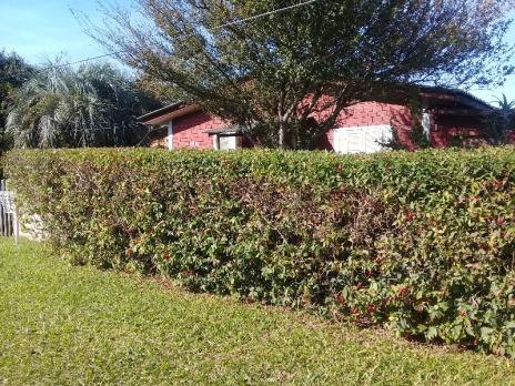 Terreno à venda em Aberta dos morros, Porto alegre cod:TE00014 - Foto 8
