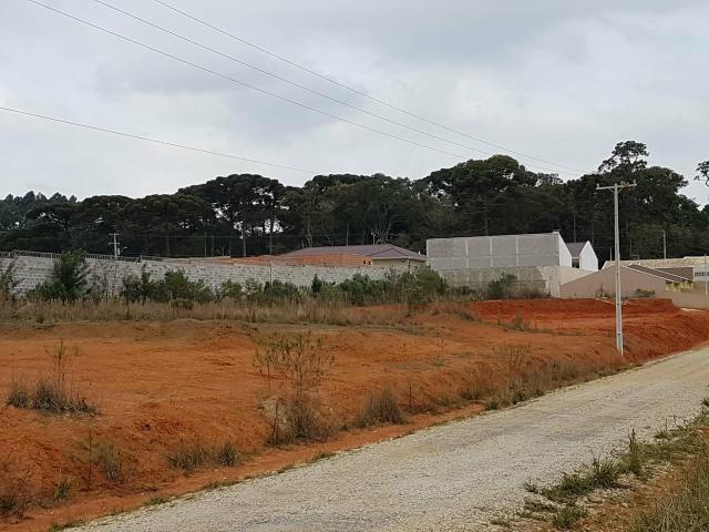 Lote Terreno Contenda-Pr - Foto 3
