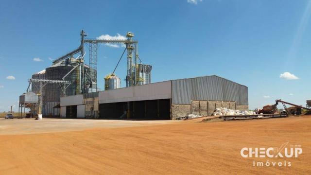 Fazenda à venda, 11.829 ha por R$ 500.000.000 - Zona Rural - Jussara/GO - Foto 14