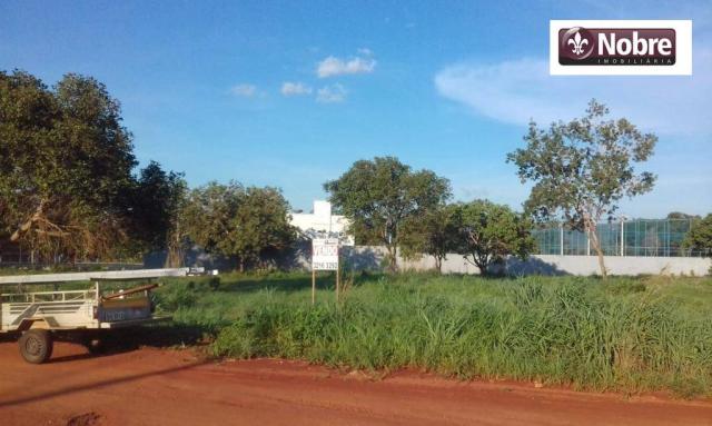 Terreno à venda, 2067 m² por r$ 399.000 - plano diretor norte - palmas/to - Foto 3