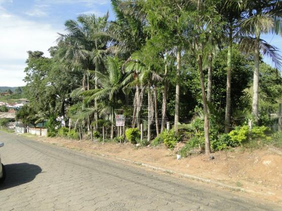 Terreno à venda em Praia do lessa, Imarui cod:30084 - Foto 20