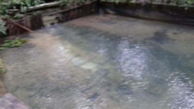 50 hectares a 50 km de Castanhal por 320 mil reais zap * - Foto 3