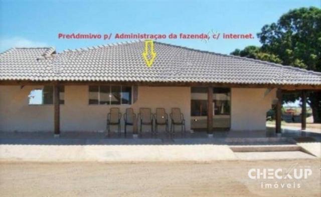 Fazenda à venda, 11.829 ha por R$ 500.000.000 - Zona Rural - Jussara/GO - Foto 10