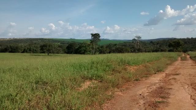 Fazenda de 4 alqueires para pecuária a venda na região de Caldas Novas GO - Foto 9