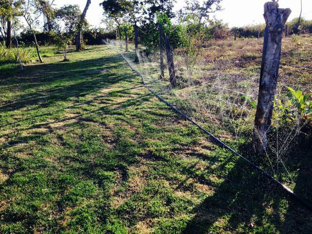 Lote De 2000 m2 na estrada da Guia / rio a 10 m - Foto 5