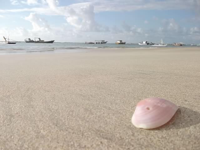 Apartamentos e Suites Temporada, Fim de semana e Feriados - Praia de Porto de Galinhas - Foto 2