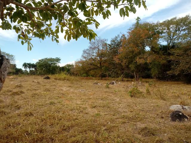 Chácara 30mts por 180 mts - Foto 14