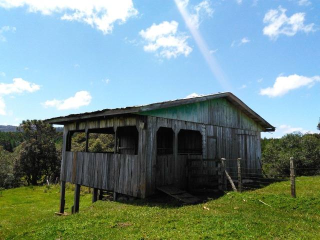 Fazenda de 71.5 Alqueires .10 Alq de Pínus com 11 Anos .Guarapuava - PR - Foto 18