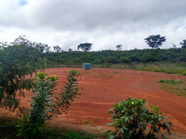 Sitio de 6 hectares, com uma Granja de suínos produzindo, á 23 km de Teresina - Foto 10