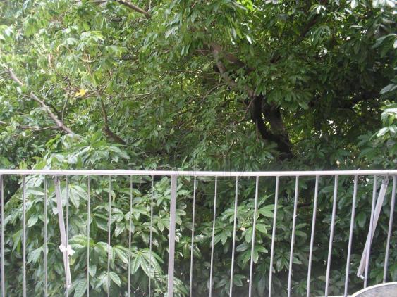 Apartamento com 2 quartos à venda, 89 m² por r$ 560.000 - grajaú - rio de janeiro/rj - Foto 4