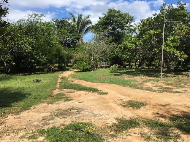 Sítio em Altos/PI, documentação ok - Foto 8