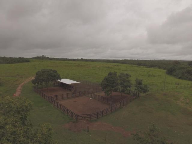 Fazenda no manso/ 700 hectares muito boa de água - Foto 8