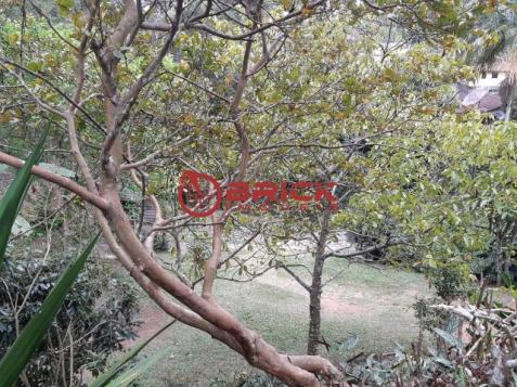 Ótimo terreno com 7390 m² no bom retiro. teresópolis- rj. - Foto 7