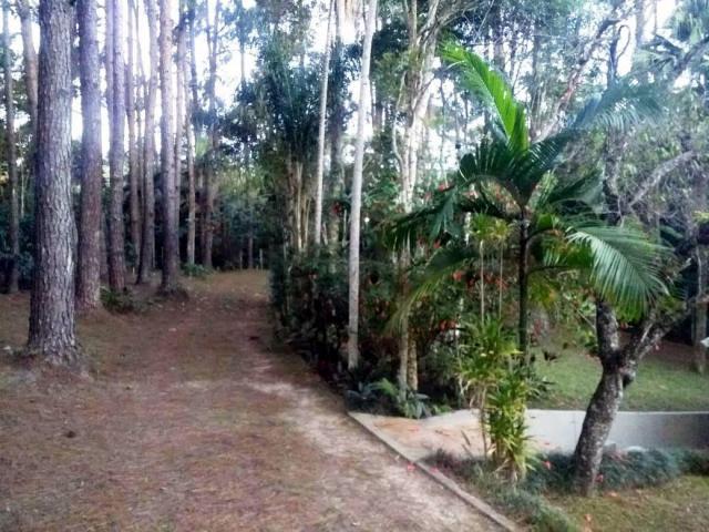 Chácara à venda em Parque lagoa rica, São paulo cod:15677 - Foto 11