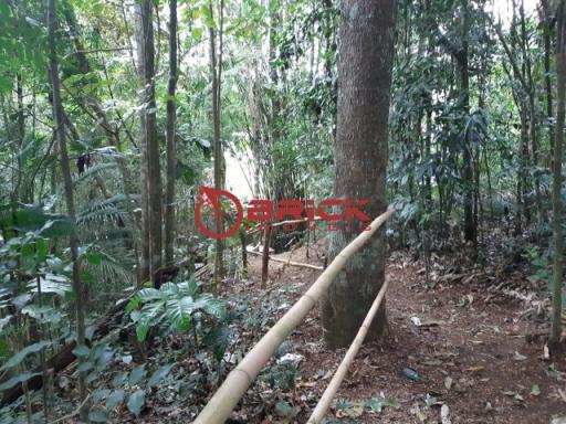 Ótimo terreno com 7390 m² no bom retiro. teresópolis- rj. - Foto 16
