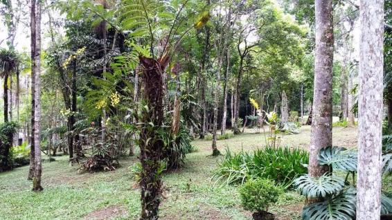 Chácara à venda em Parque lagoa rica, São paulo cod:15677 - Foto 10