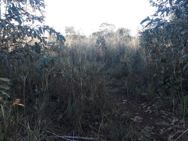 Sitio em Acorizal com 38.2 hectares - Foto 15