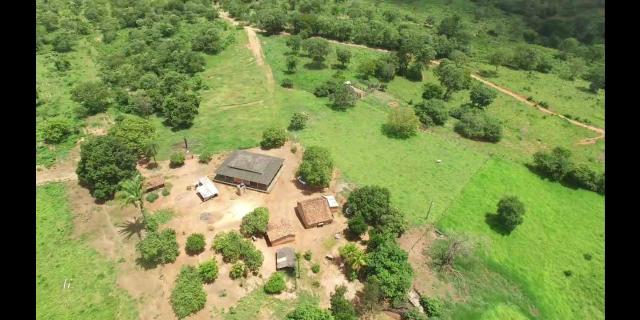Fazenda de pecuária a venda 12 km porto nacional - Foto 11