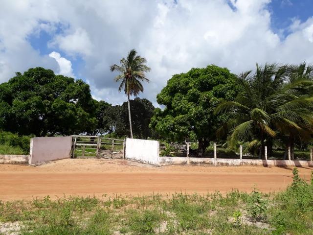 Sítio com 2 hectares - Todo irrigado e produzindo