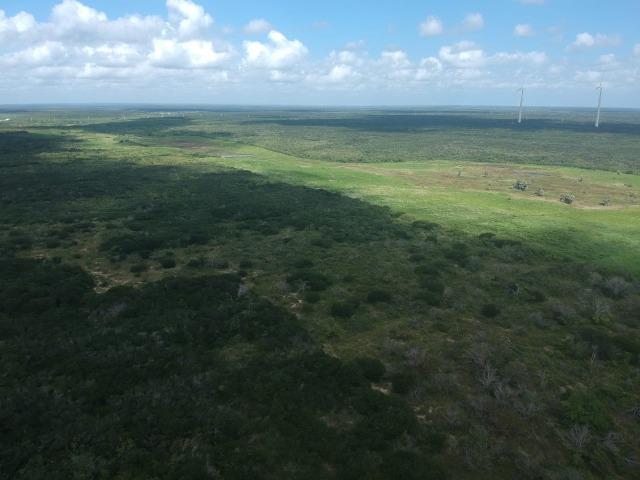 Terreno plano de 15 hectares à 4 km do centro - Foto 4