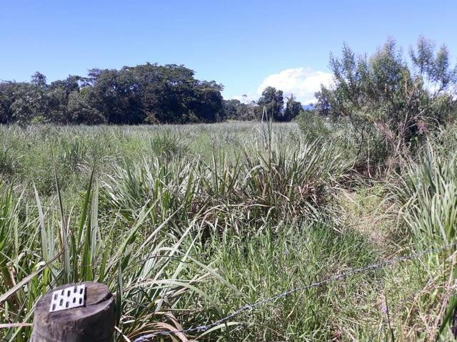 Belíssimo terreno em Guapimirim - Parada Ideal R$ 13 mil oportunidade!!! - Foto 11