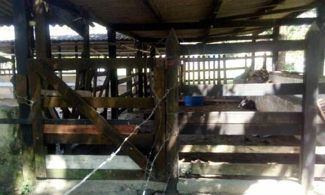 Linda fazendinha em Cachoeiras de Macacu medindo 242.000m2 oportunidade!!! - Foto 17