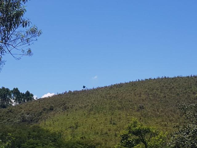 124m lotes na promoção - Foto 3