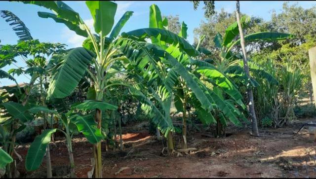 Chácara à venda na estrada para Juramento - Foto 10
