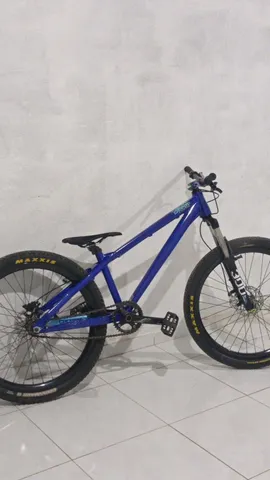 Bicicleta Gios Dj De Wheeling Grau Rl Dirt Jump Pump Track