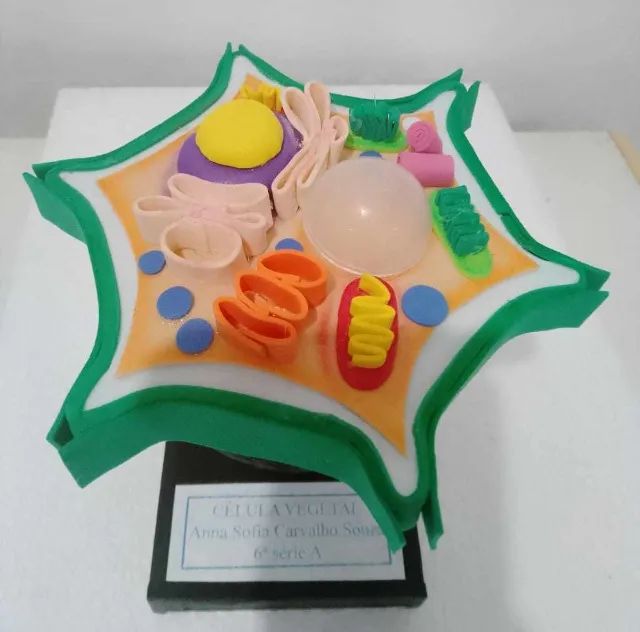 Maquetes - Foto 3