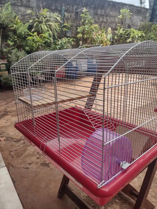 Gaiola para Hamster Maxi - Foto 2
