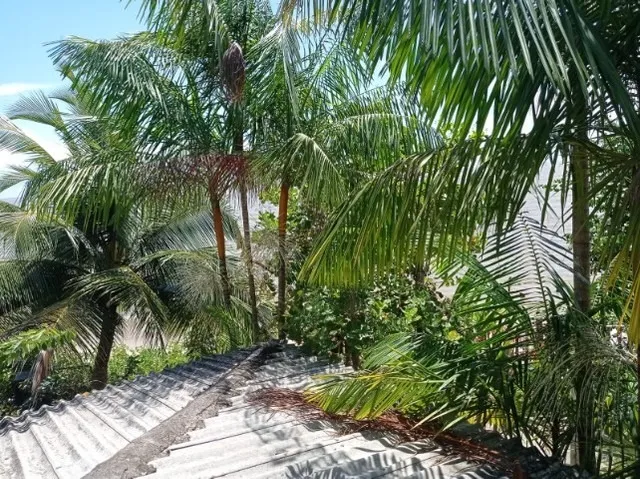 Alugo linda casa frente a praia ilha cotijuba, vai quem quer, mansao de cada de praia