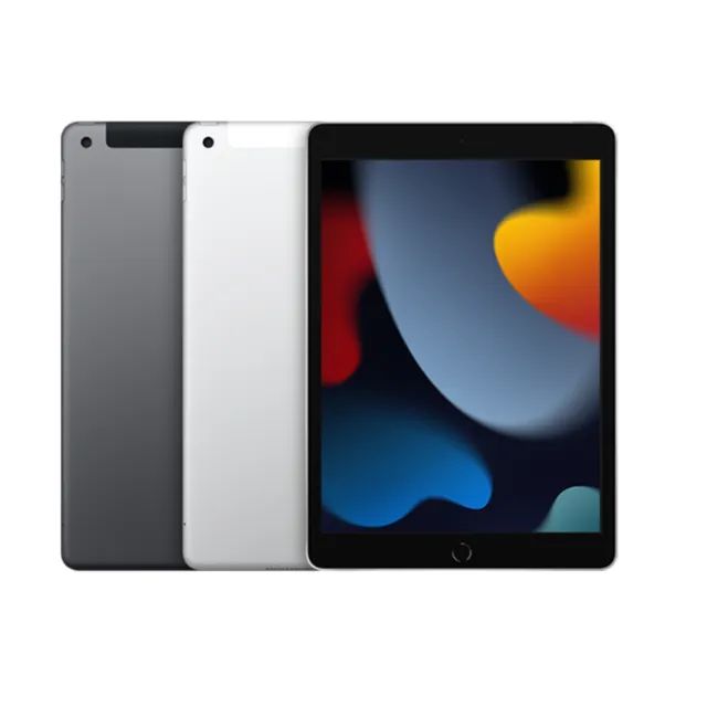 iPad 9 -64GB Cinza