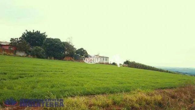 Chácara à venda, 18770 m² por R$ 900.000,00 - Nova America da Colina - Nova America da Col - Foto 6