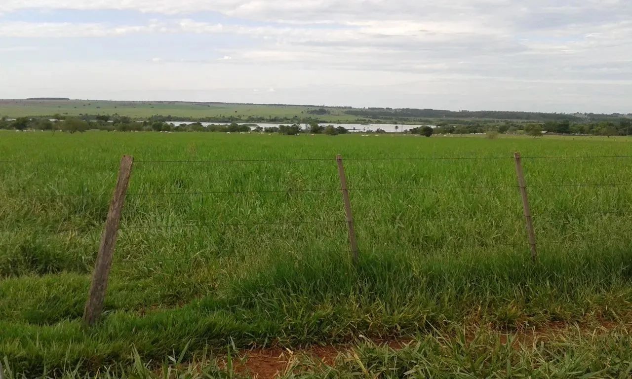 EXCELENTE FAZENDA A VENDA NA PECUÁRIA NA REGIÃO DE PRESIDENTE PRUDENTE - SP ?? Área Total: - Foto 5