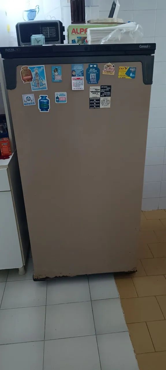 Freezer Consul 230 Lt