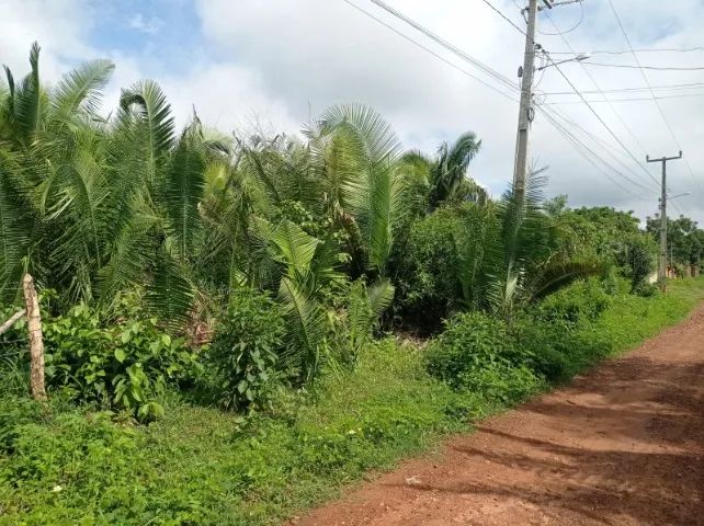 Terreno 30×40 Em Timon-MA - Foto 4