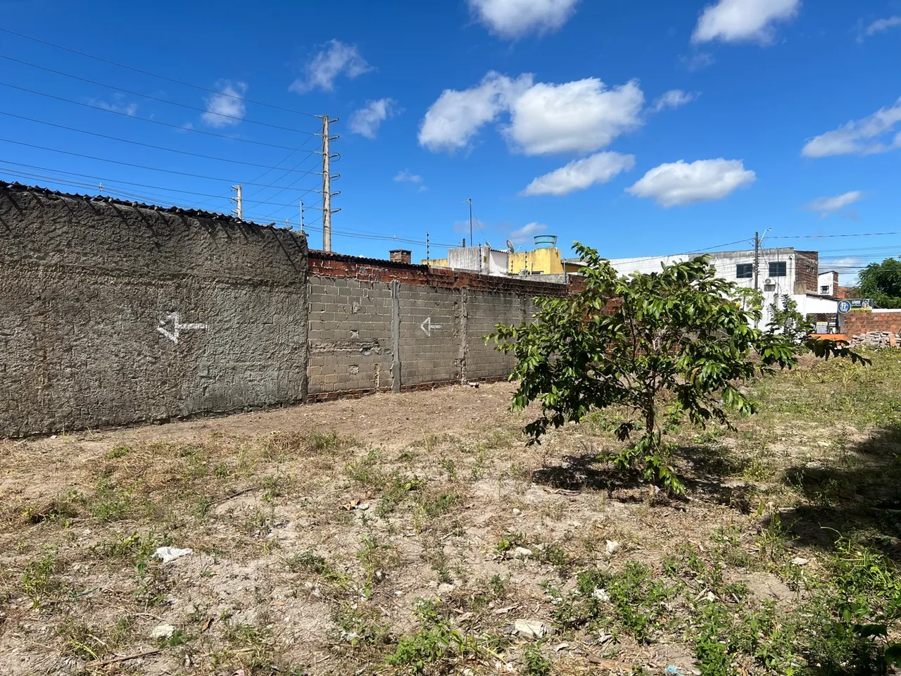 Terreno Village Campestre 6x15 - LOTE DENTRO