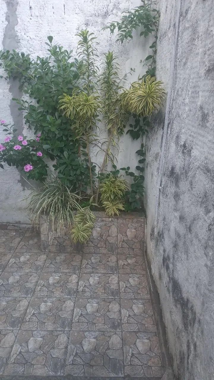 Vendo prédio todo alugado - Foto 3