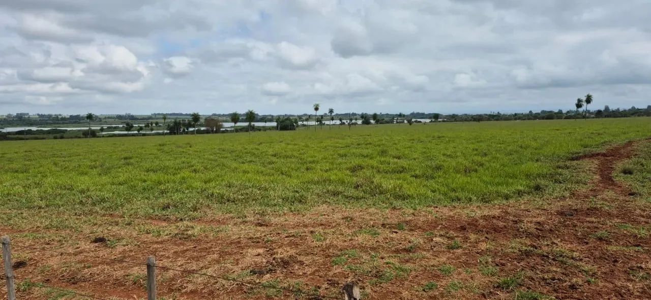 EXCELENTE FAZENDA A VENDA NA PECUÁRIA NA REGIÃO DE PRESIDENTE PRUDENTE - SP ?? Área Total: - Foto 3