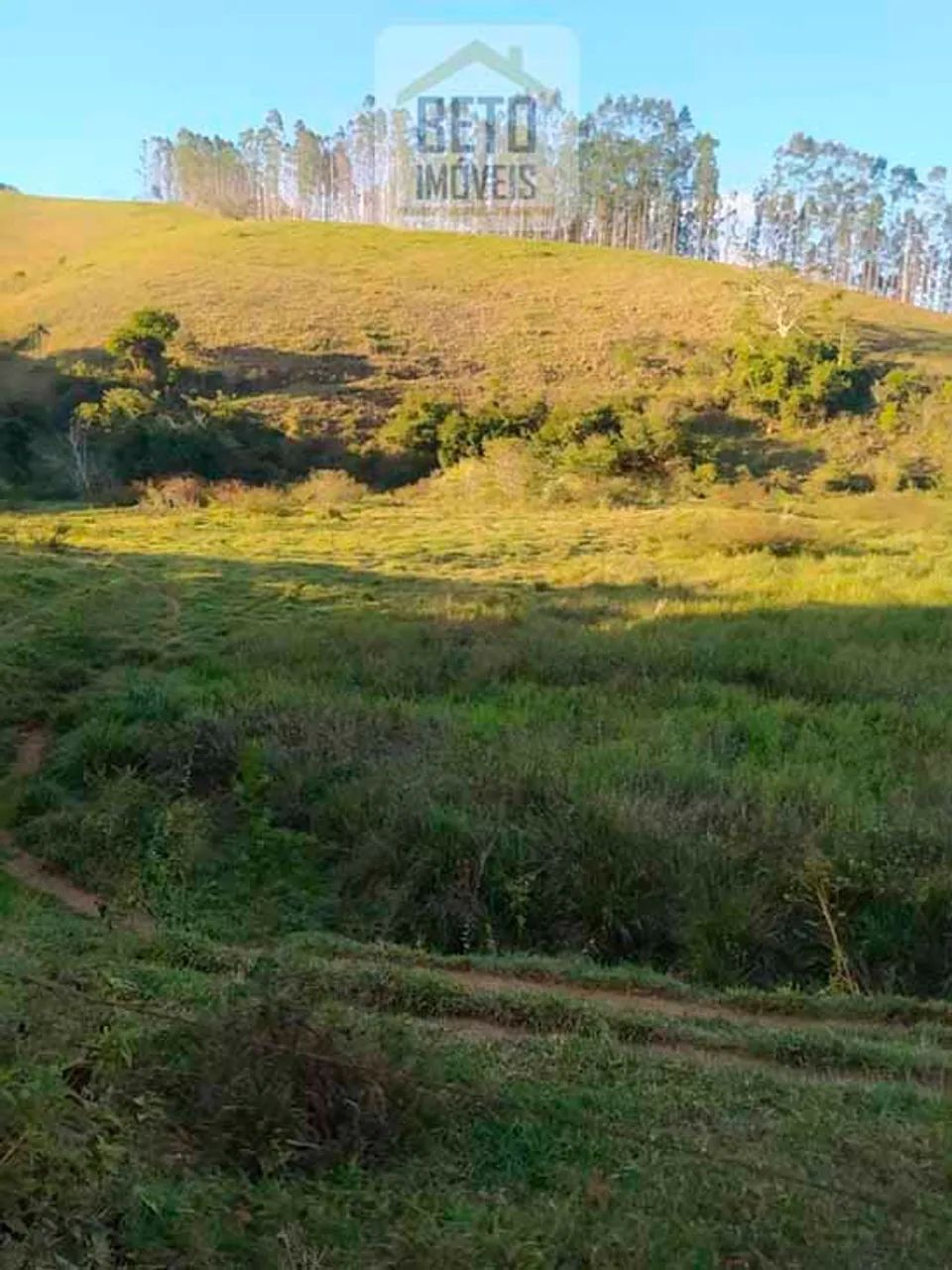 Fazenda/Sítio/Chácara para venda possui 6195200 metros quadrados em Centro - Cambuci - RJ - Foto 5
