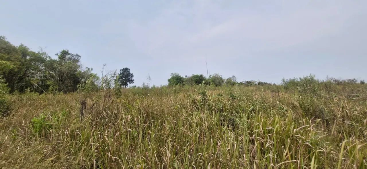Terreno a venda em Sebandilha - Mairinque - SP - Foto 5