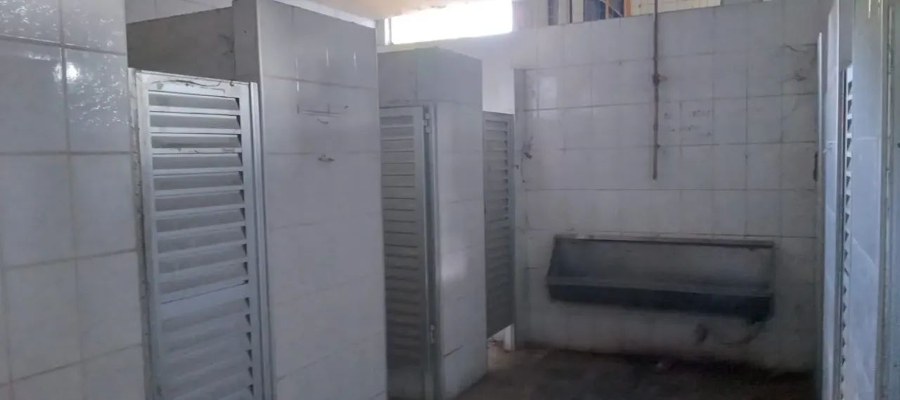 Alugo Galpão 15.000 m2 distrito industrial! - Foto 7