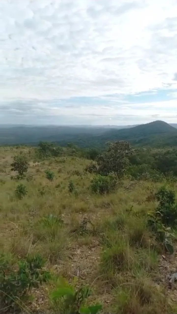 Vendo 10 alqueires  na região do morro agudo de Goiás, 180km de Goiânia!!  - Foto 4