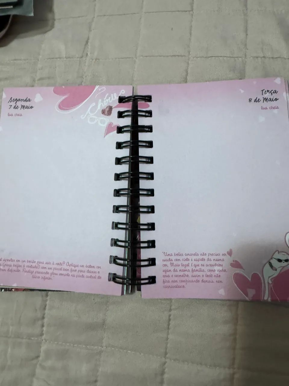 Agenda Capricho de 2012 - Foto 5