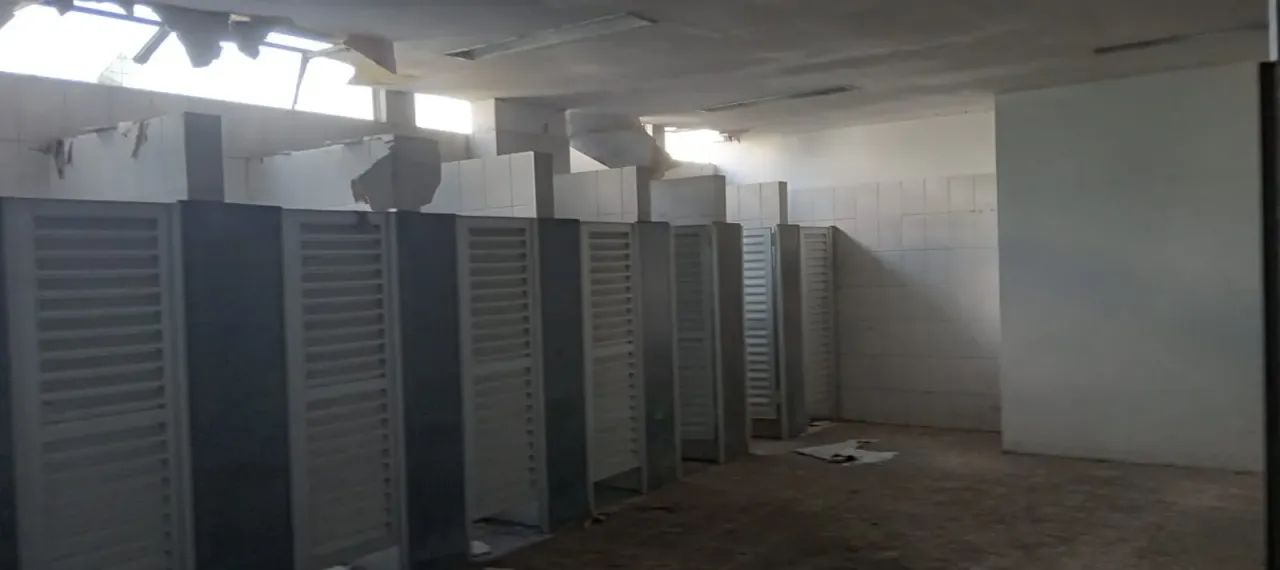 Alugo Galpão 15.000 m2 distrito industrial! - Foto 8