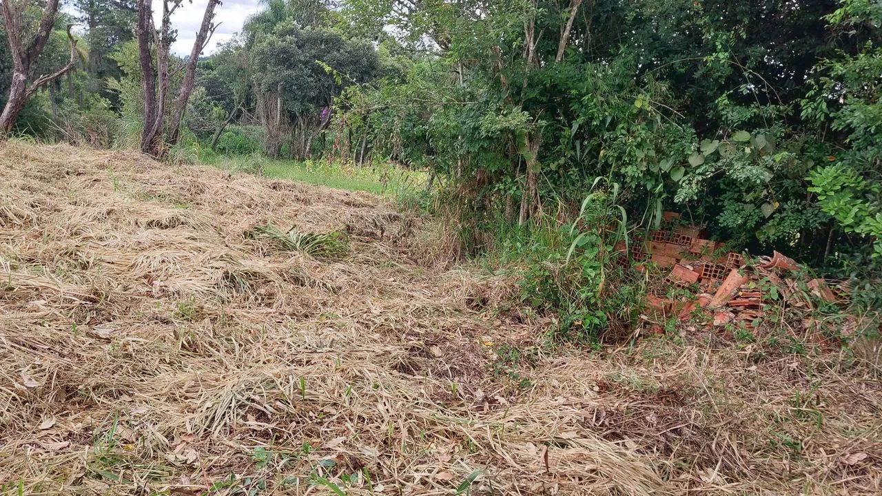 TERRENO JARDIM CANANÉIA 1.439,00 M2 - Foto 4