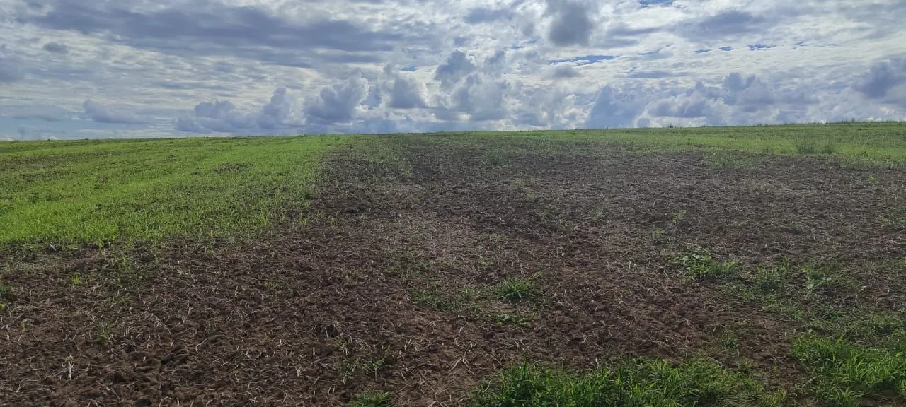 Fazenda em Cromínia
