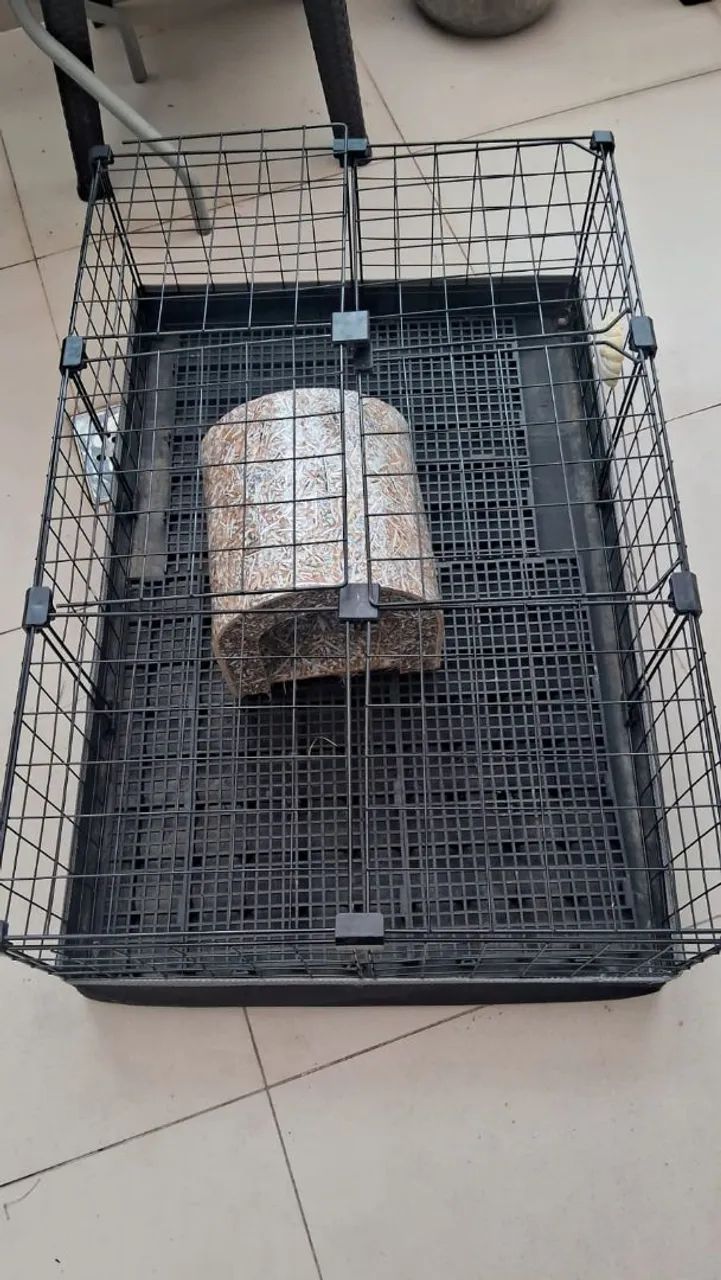 Cercado para roedores, coelhos e outros - Foto 5