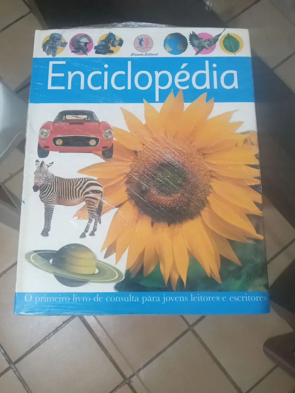 Enciclopédia Infantil Ilustrada - Cieranda Cultural